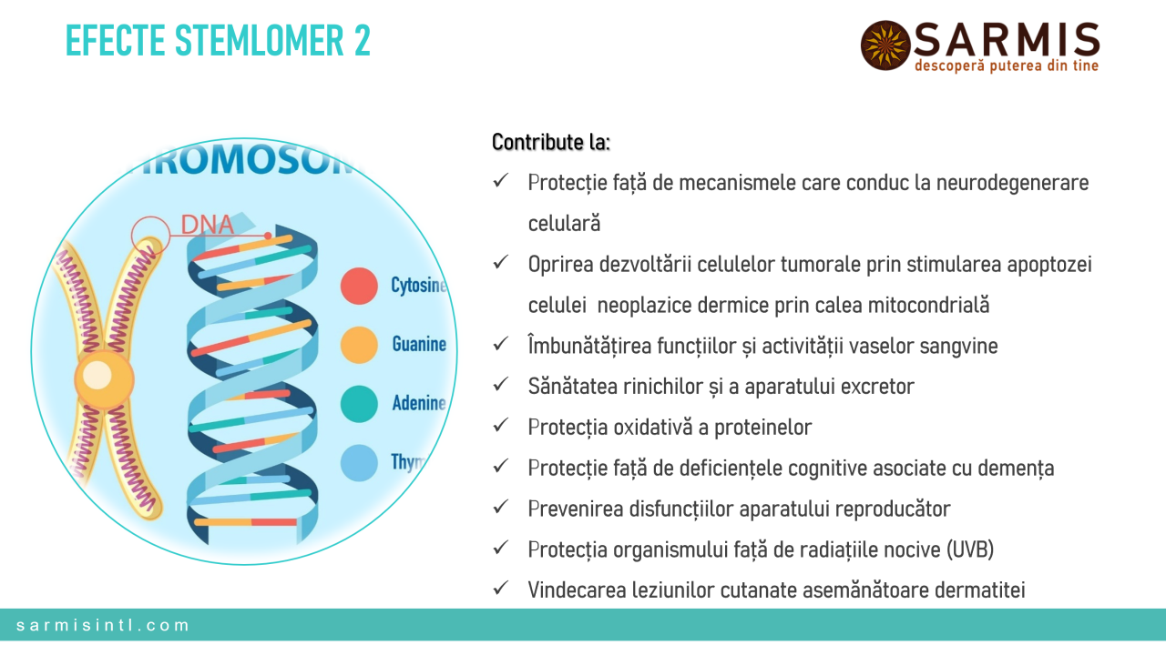 STEMLOMER 2x30 capsule 12 STEMLOMER 2x30 capsule
