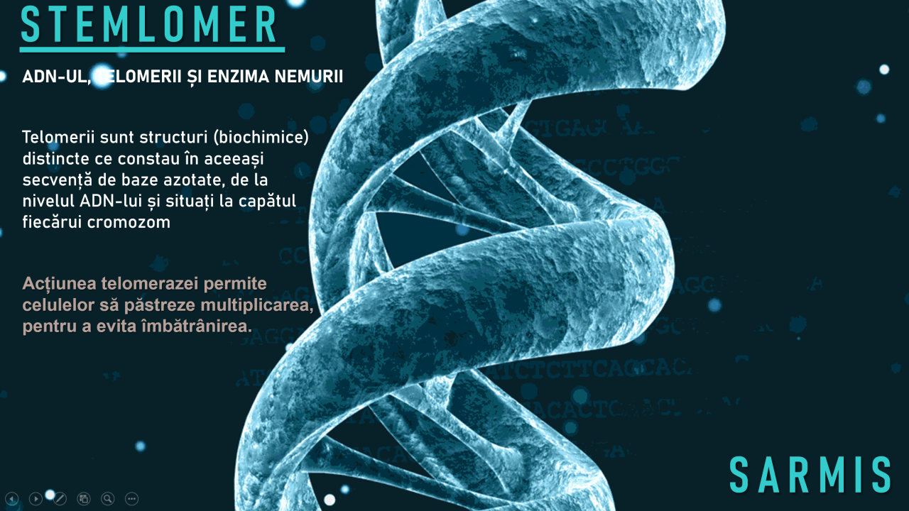 STEMLOMER 2x30 capsule 2 STEMLOMER 2x30 capsule
