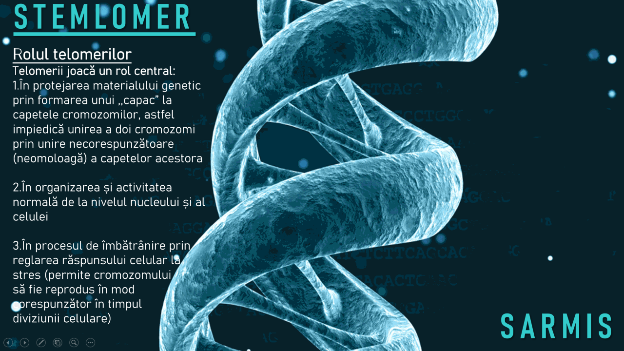 STEMLOMER 2x30 capsule 3 STEMLOMER 2x30 capsule