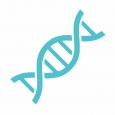 4-adn2 4-adn2